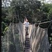 On the canopy walkway • <a style="font-size:0.8em;" href="http://www.flickr.com/photos/62152544@N00/6597901089/" target="_blank">View on Flickr</a>