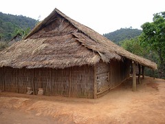 Traditional house (Laos 2006)