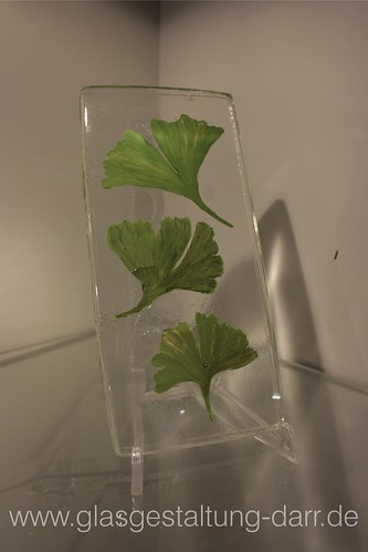 Ginkgo in Glas / Ginkgo leaves in glass • <a style="font-size:0.8em;" href="http://www.flickr.com/photos/65488422@N04/6607068073/" target="_blank">View on Flickr</a>