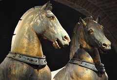 Quadriga - due cavalli