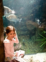 Juliette liked the fish at Bass Pro Shops...