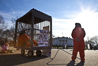Witness Against Torture: The White House