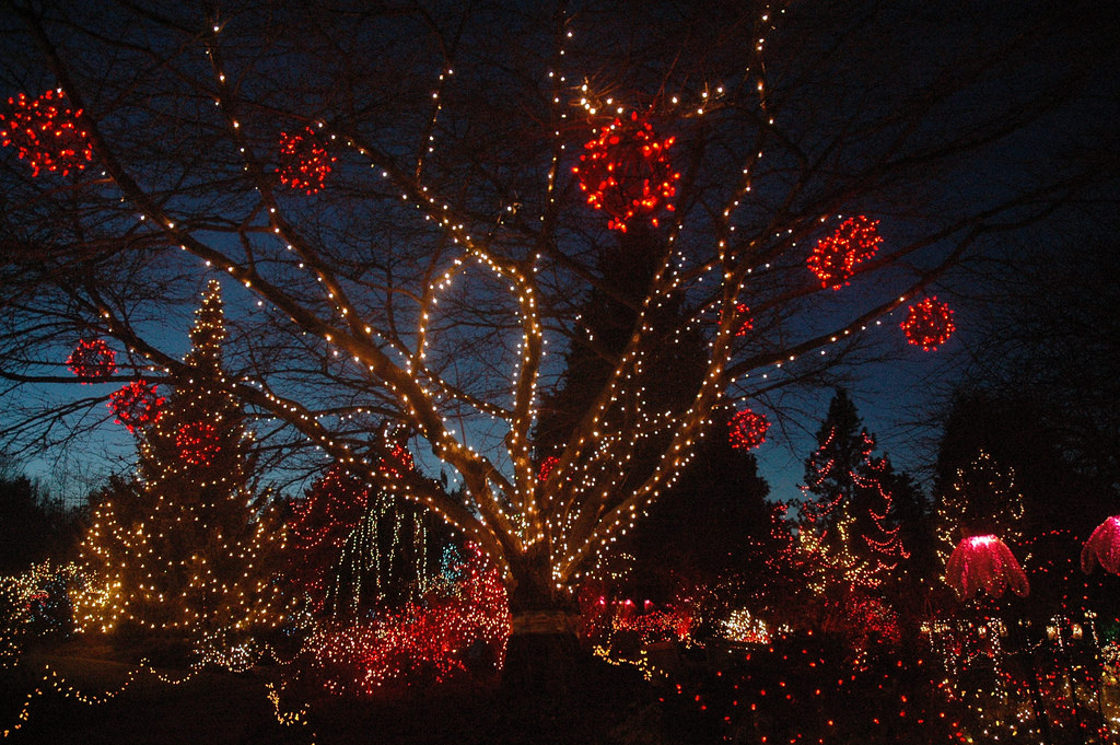 Behold The “Festival Of Lights” This Holiday Season At The VanDusen ...