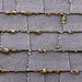 Frosted Shingles • <a style="font-size:0.8em;" href="http://www.flickr.com/photos/73735703@N05/6675115421/" target="_blank">View on Flickr</a>