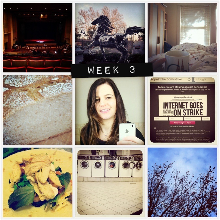 2012 in pictures: week 3