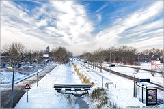 Sneeuw in Lelystad
