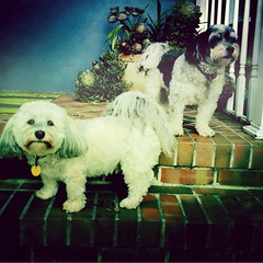01.06.12: step-brothers