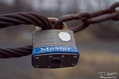 January 24 (24/366)