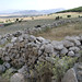 Modern Stone Sheep Pen • <a style="font-size:0.8em;" href="http://www.flickr.com/photos/72440139@N06/6827716027/" target="_blank">View on Flickr</a>