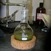 Plant extract priot to evaporation • <a style="font-size:0.8em;" href="http://www.flickr.com/photos/62152544@N00/6601056103/" target="_blank">View on Flickr</a>