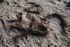 January 2, 2012-Beach style