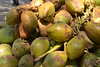 1/26 Coconut Water @ Street Vendor • <a style="font-size:0.8em;" href="http://www.flickr.com/photos/19035723@N00/6776798659/" target="_blank">View on Flickr</a>