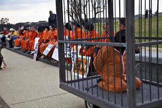 Witness Against Torture: Caged Detainee
