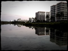 reflect