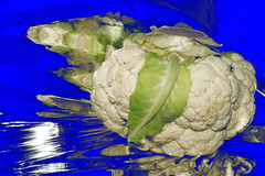 Project 365- 011212 (012/366)