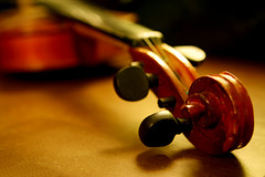 Amoroso Violin