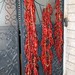 Drying peppers • <a style="font-size:0.8em;" href="http://www.flickr.com/photos/62152544@N00/6597575593/" target="_blank">View on Flickr</a>
