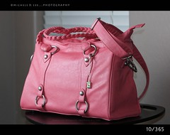 (10/365) Loving My New CheekyLime Camera Bag!