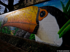 Zoomauer Graffiti 04.01.2012