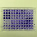 Crystal violet stain test of biofilm formation • <a style="font-size:0.8em;" href="http://www.flickr.com/photos/62152544@N00/6601055069/" target="_blank">View on Flickr</a>