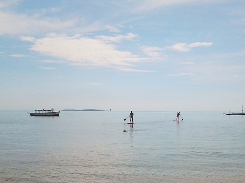 Stand up paddle board