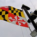 Maryland Day - Poco