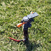 The Sprinkler I tripped on! • <a style="font-size:0.8em;" href="http://www.flickr.com/photos/72440139@N06/6827479905/" target="_blank">View on Flickr</a>