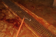 Wastewater drainage in the slaughterhouse