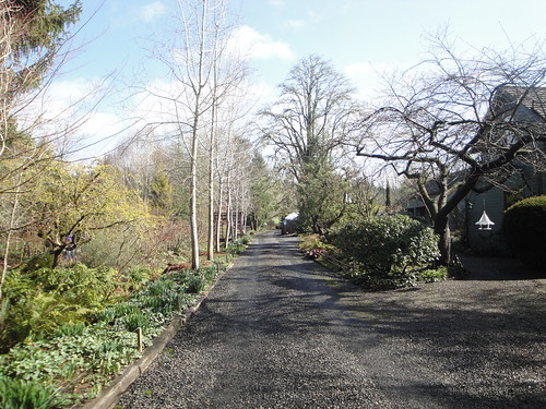 NWGN Driveway 1