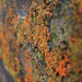 Même les lichens sont couleur rouille • <a style="font-size:0.8em;" href="http://www.flickr.com/photos/53131727@N04/6999742610/" target="_blank">View on Flickr</a>