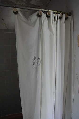 Vandalized shower curtain
