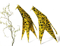 Origami création - Didier Boursin - Girafes
