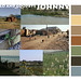 Johnny Color Palette Style Sheet copy