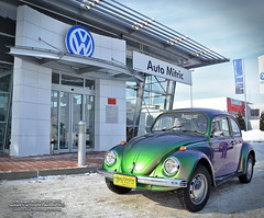 9 Februarie 2012 » Volkswagen Beetle