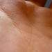 human hand • <a style="font-size:0.8em;" href="http://www.flickr.com/photos/75854302@N04/6868756537/" target="_blank">View on Flickr</a>