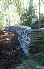 WM Dale Mitchell Landscape 3, Retaining Wall, dry laid stone construction, copyright 2014
