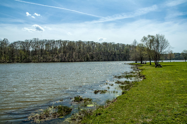 Versailles State Park - Versailles Lake - April 26, 2014
