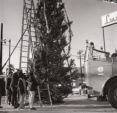 Truck 22 Christmas Tree Decorating 1970