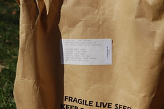 Organic Oat Seed <a style="margin-left:10px; font-size:0.8em;" href="http://www.flickr.com/photos/91915217@N00/13920068301/" target="_blank">@flickr</a>