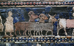 The Standard of Ur, detail with herd (peace)