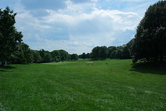 Long Meadow • <a style="font-size:0.8em;" href="http://www.flickr.com/photos/59137086@N08/7358437958/" target="_blank">View on Flickr</a>