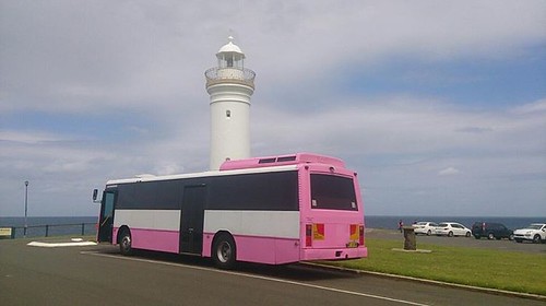 #PinkPartyBus to the #lighthouse