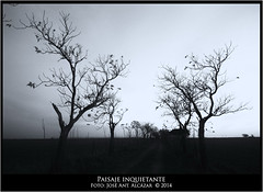 Paisaje inquietante. • <a style="font-size:0.8em;" href="http://www.flickr.com/photos/15452905@N02/13167135044/" target="_blank">View on Flickr</a>