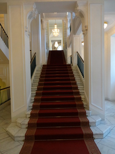 Carpet Sanitizing Service