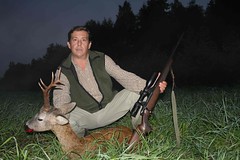 Roe Deer Hunting / Caza del Corzo