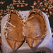 Cow hide shoes -Novosej • <a style="font-size:0.8em;" href="http://www.flickr.com/photos/62152544@N00/7266252494/" target="_blank">View on Flickr</a>