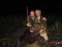 Bear Hunting / Caza del Oso