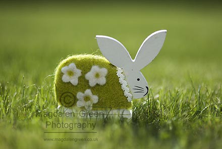 Happy Easter Everyone from the Magdalen Green Photography Easter Bunny - Dundee Scotland