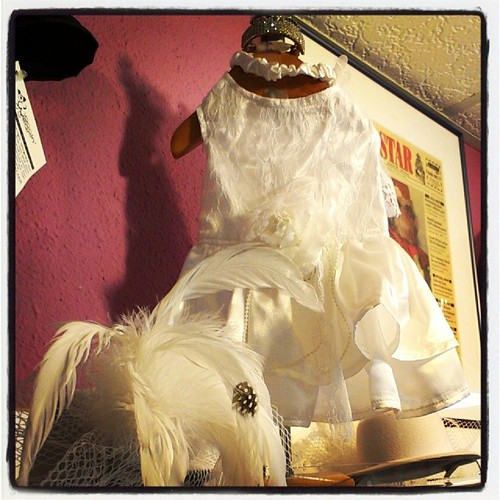 Doggy wedding dress at Mitzi's Closet #yxy