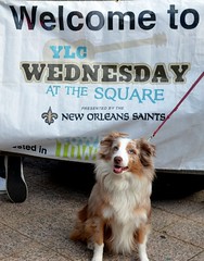 Wednesday at the Square, March 14, 2012